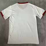 2024/25 Palestina White Fans Soccer Jersey