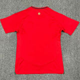 2024/25 Wales Home Red Fans Soccer Jersey