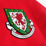 1992/94 Wales Home Red Retro Soccer Jersey