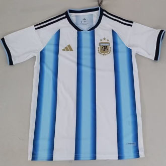 2025/26 Argentina Home Fans Soccer Jersey