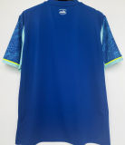 GREENWOOD #10 MS 1:1 Quality Third Fans Soccer Jersey 2025/26 (UCL Font 欧冠体 ) （Have TREIZIEME HOMME 带号下广告 ）★★