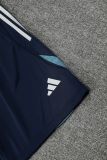 2025/26 ARS Baby Blue Vest Training Jersey(A Set)