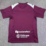 2025/26 Salernitana Home Fans Soccer Jersey 萨勒尼塔纳
