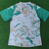 2026/27 Algeria Special Edition Player Version Soccer Jersey
