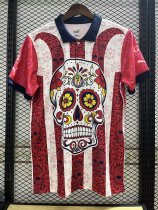 23/24 Chivas Special Edition Fans 1:1 Quality Soccer Jersey 23/24 Chivas Special Edition Fans 1:1 Quality Soccer Jersey