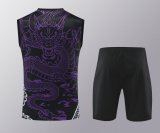 Real Madrid  Purple  1:1 Quality Training Vest（A-Set）24/25