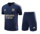 23/24 Arsenal Blue 1:1 Quality Training Jersey（A-Set）