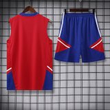 Bayern Munich Red 1:1 Quality Training Vest（A-Set）23/24