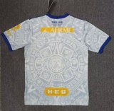 23/24 Tiger Special Edition Fans 1:1 Quality Soccer Jersey