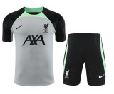 Liverpool Gray 1:1 Quality Training Jersey（A-Set）23/24