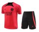 PSG Paris Red 1:1 Quality Training Jersey（A-Set）23/24