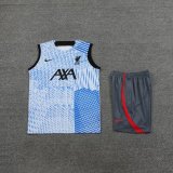 Liverpool Blue 1:1 Quality Training Vest（A-Set）23/24