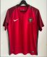 Portugal Home 1:1 Retro Soccer Jersey 2016