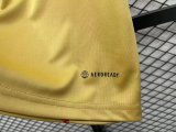 23/24 Sao Paulo Gold Fans 1:1 Quality Training Jersey