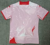 Fiorentina Pink Fans 1:1 Quality Soccer Jersey 23/24