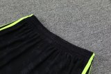 Manchester United Green 1:1 Quality Training Vest（A-Set）23/24