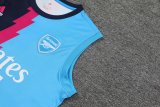 Arsenal Blue 1:1 Quality Training Vest（A-Set）23/24