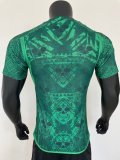 Mexico Special Edition Green Player 1:1 Quality Soccer Jersey 23/24