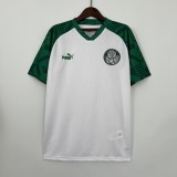 Palmeiras Special Edition White Fans 1:1 Quality Soccer Jersey 23/24