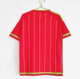 2015-2016 Wales Home 1:1 Quality Retro Soccer Jersey