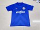 Palmeiras Blue Goalkeeper Fans 1:1 Quality Soccer Jersey 23/24