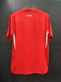 Türkiye Away Fans 1:1 Quality Soccer Jersey 24/25