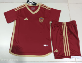 Venezuela Home Fans  Kids Quality Soccer Jersey 24/25