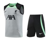 Liverpool Gray 1:1 Quality Training Vest（A-Set）23/24