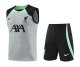 Liverpool Gray 1:1 Quality Training Vest（A-Set）23/24
