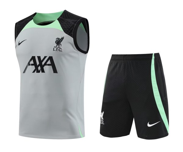 Liverpool Gray 1:1 Quality Training Vest(A-Set)23/24
