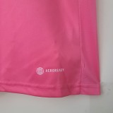 Internacional Pink Fans Version 1:1 Quality Soccer Jersey 22/23