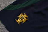 2022 Portugal Blue 1:1 Quality Training Vest（A-Set）