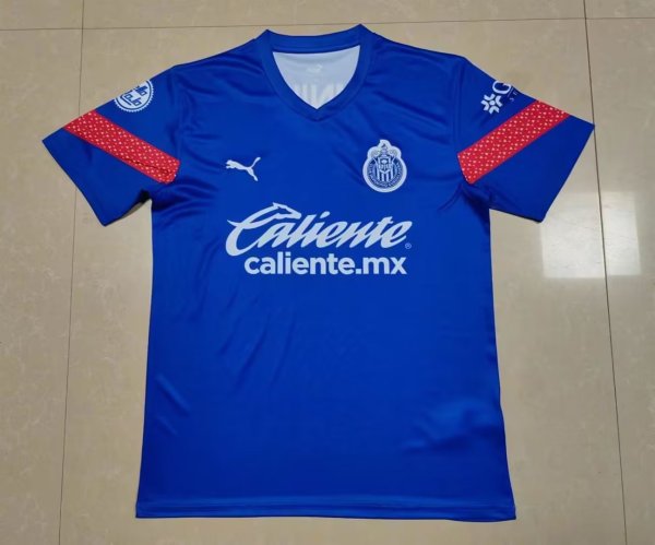 Chivas Blue Fans Version 1:1 Quality Training Shirts 23/24