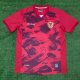Venezuela Home Red Fans 1:1 Quality Soccer Jersey 23/24