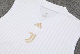 Juventus White 1:1 Quality Training Vest（A-Set）23/24