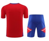 Bayern Munich Red 1:1 Quality Training Jersey（A-Set）23/24