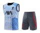 Liverpool Blue 1:1 Quality Training Vest（A-Set）23/24