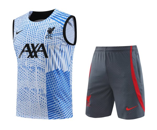 Liverpool Blue 1:1 Quality Training Vest(A-Set)23/24