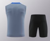 Barcelona  Grey  1:1 Quality Training Vest（A-Set）24/25