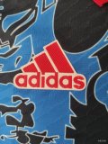 Japan Special Edition Player 1:1 Quality Soccer Jersey 23/24