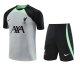 Liverpool Gray 1:1 Quality Training Jersey（A-Set）23/24