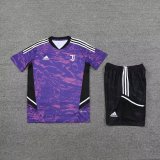 Juventus Purple 1:1 Quality Training Jersey（A-Set）23/24
