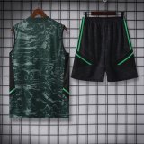 Real Madrid Green 1:1 Quality Training Vest（A-Set）23/24