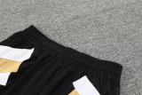 Juventus White 1:1 Quality Training Vest（A-Set）23/24