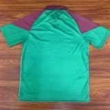 Fluminense Training Suit Fans 1:1 Quality Training Shirts 23/24