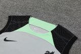 Liverpool Gray 1:1 Quality Training Vest（A-Set）23/24