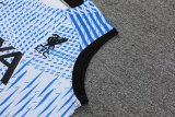 Liverpool Blue 1:1 Quality Training Vest（A-Set）23/24