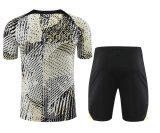 Chelsea 1:1 Quality Training Jersey（A-Set）23/24