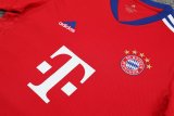 Bayern Munich Red 1:1 Quality Training Jersey（A-Set）23/24