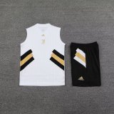 Juventus White 1:1 Quality Training Vest（A-Set）23/24